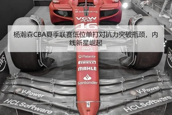 杨瀚森CBA夏季联赛低位单打对抗力突破瓶颈，内线新星崛起