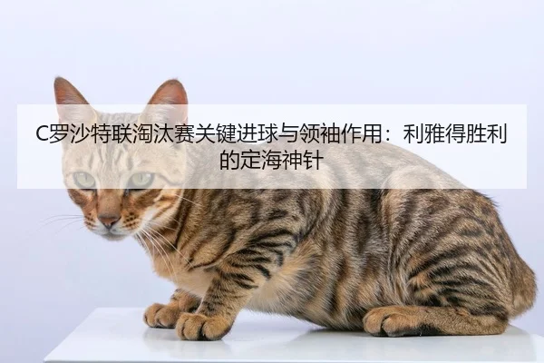 luo-sha-te-lian-tao-tai-sai-guan-jian-jin-qiu-yu-ling-xiu-zuo-yong-li-ya-de-sheng-li-de-ding-hai-shen-zhen-3-653.jpg